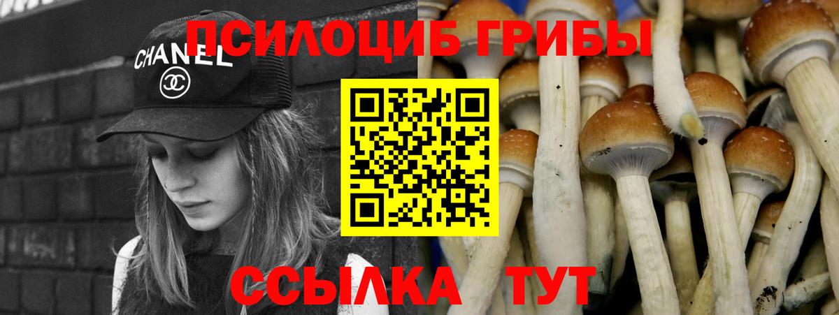 Галлюциногенные грибы Magic Shrooms  Галлюциногенные грибы прущие грибы  купить наркоту  Вход с VPN  Курчатов 