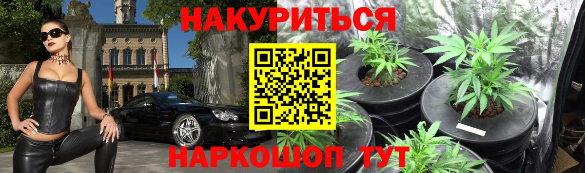 Каннабис гибрид Курчатов